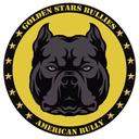 Golden Stars Bullies - GOLDEN STARS BULLIES