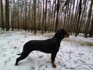 Axa ze Solarovy stráně