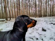 Axa ze Solarovy stráně