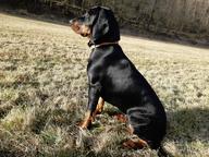 Axa ze Solarovy stráně