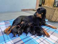 Axa ze Solarovy stráně