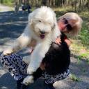 Profile photo of the user Veronika Kočárková