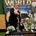 Profile photo of the user jerichovamichaela