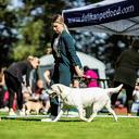 Profile photo of the user terezaricankova