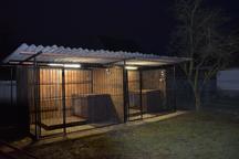 Německý ovčák štěňata - Rokycany