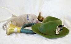 Weimaraner - puppy with pedigree