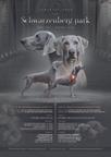 Delta from Schwarzenberg pak /El de Madrid Silver Sfinx