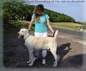 Středoasijský pastevecký pes s PP - Středoasijský pastevecký pes (335)