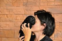 Čierne šteniatka labradora s PP - Labradorský retrívr (122)