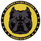 Golden Stars Bullies - GOLDEN STARS BULLIES