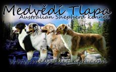Chovatelská stanice australských ovčáků - Ivana Janulcová