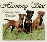 CHS Harmony Star - Německý pinč - nemeckypinc