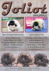 Joliot - chovatelská stanice pekingských palácových psíků - Kateřina Schreibová