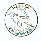 Weinlinie &amp;amp; Jack Russell Terrier - Lenka Frnčová