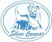 Silver Caracas - Silver Caracas