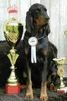Black and Tan coonhound from Red Castle - fromredcastle
